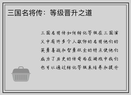 三国名将传：等级晋升之道